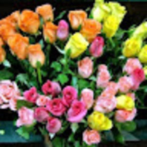 Meet your Posher, Adriana